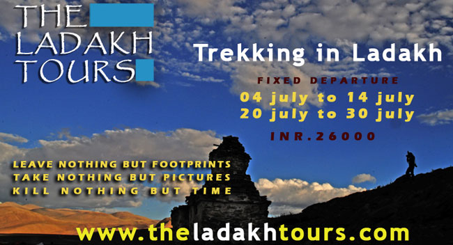 trekking in ladakh