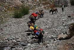 sham treks, trekking in ladakh sham